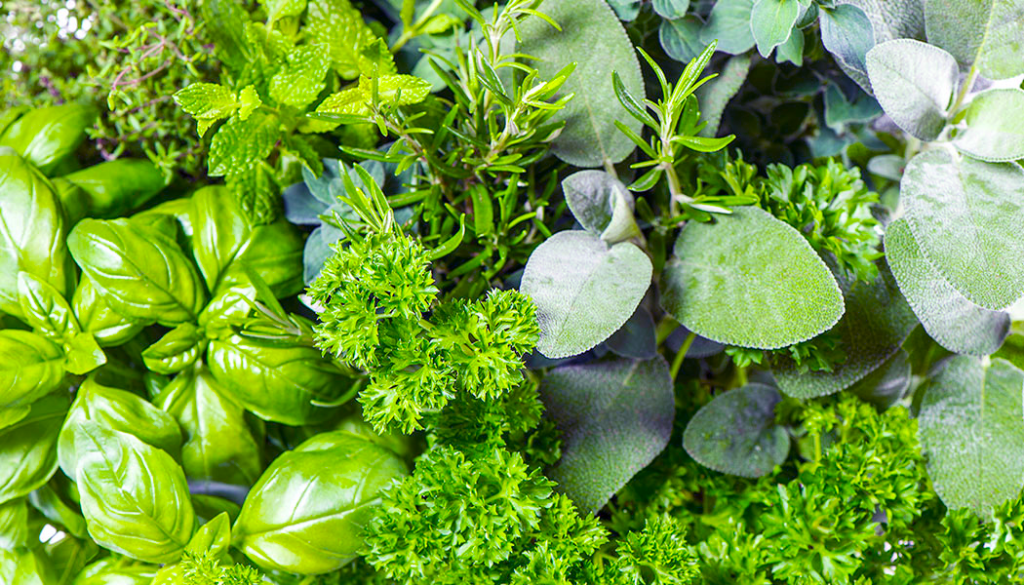must have fresh herbs