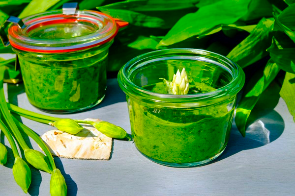 preserving herb freshness